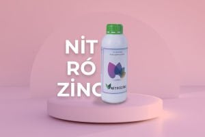 Nitrozinc