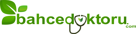 Bahce Doktoru